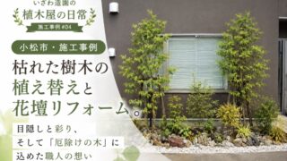 【小松市・施工事例】枯れた花壇を目隠し樹木と防草で明るくリフォーム